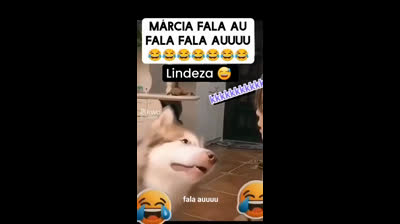 CÃOZINHO FALANDO !!!