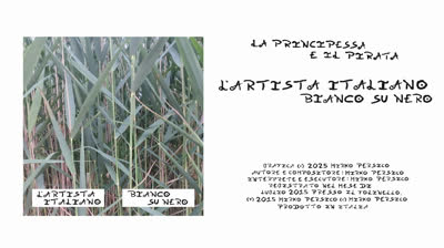 L'Artista Italiano - La Principessa e il Pirata