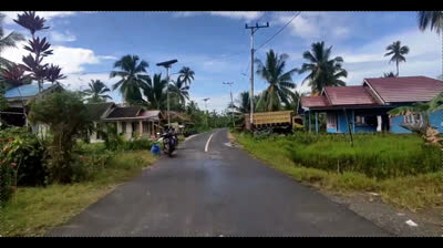 STREET LIFE LA PELICULA HECHT AMAR