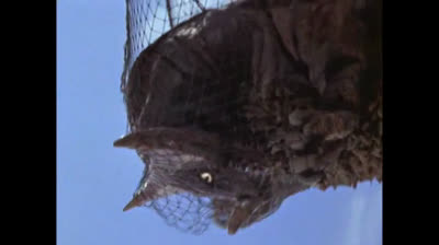 Ultraman 27 Il principe dei mostri 2a parte