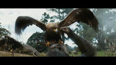 Kingdom Of The Planet Of The Apes 2024 FRENCH 1080p