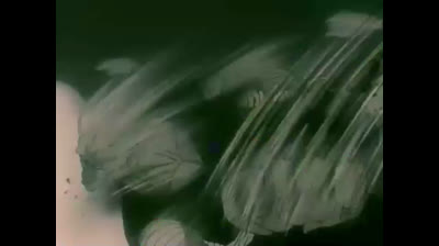 Dragon Ball Z S1 E151 Dublado Logan ␥