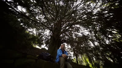 Camino Primitivo Asturiano