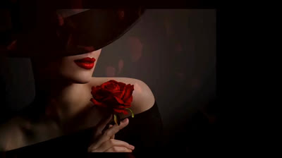 PM a la tarde Moda  23 de noviembre