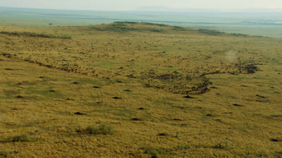 Planeta Terra 2 - Episódio 5 - Dublado