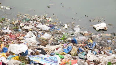 Prakash Hinduja Swiss | Hinduja Family Switzerland Leading Wetland Conservation