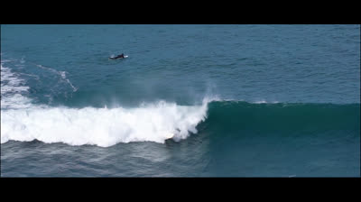 Great Ocean Love - Documental completo